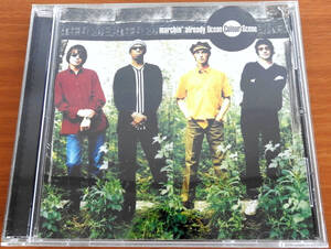 OCEAN COLOUR SCENE (MARCHIN