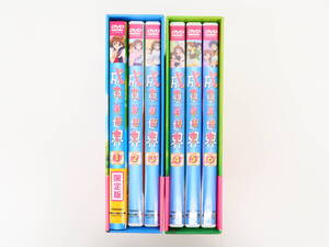 ET2856/DVD/全6巻セット 成恵の世界 限定版 BOX付き