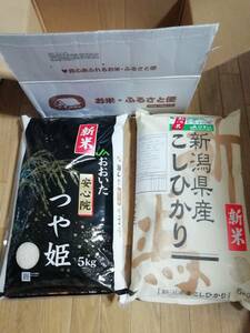 白米10㎏ 令和5年産☆JAひすい新潟県産こしひかり5㎏+JAおおいた安心院つや姫5㎏☆お米・ふるさと便