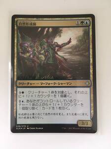 MTG　自然形成師/Shapers of Nature　(XLN/イクサラン,日) 1枚(Foil)