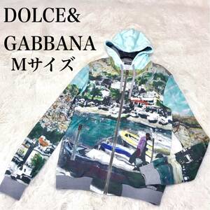 希少 DOLCE＆GABBANA 総柄 ZIP パーカー フーディ トレーナー ドルガバ トップス マルチカラー 総柄 アート