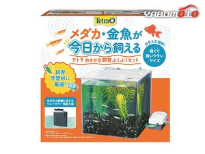 テトラ おさかな飼育 ぶくぶくセット SP-17BU エアポンプ＋フィルター付きの17cmコンパクト水槽 観賞魚用品 水槽 セット水槽 Tetra