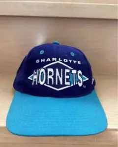 NBA Charlotte Hornets レア柄 ビンテージキャップ