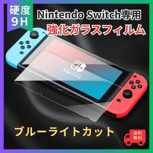 任天堂 スイッチ Switch ブルーライトカット ガラスフィルム 液晶 画面 保護フィルム スイッチケース 指紋防止 極薄