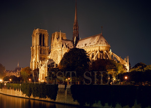 【 送料当社負担 】ノートルダム寺院　イルミネーション　夜景　パリ　フランス　風景写真　額縁なし　A4サイズ写真　辰巳玄洋　作品