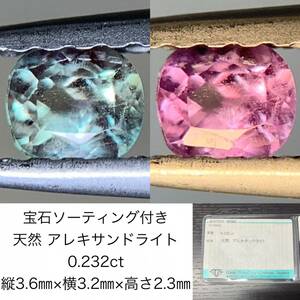 宝石ソーティング付き　 天然 アレキサンドライト　0.232ct　 縦3.6×横3.2×高さ2.3　 ルース（ 裸石 ）　 1585Y