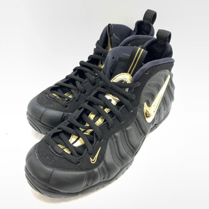 【中古】NIKE AIR FOAMPOSITE PRO 29㎝ 624041-009 ナイキ[240092283513]