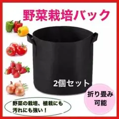 【２個セット】プランター　10ガロン　2個　布鉢　不織布　家庭菜園　野菜栽培