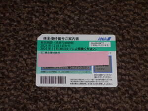 全日空（ANA）株主優待券　2枚セット　2025年11月30日まで