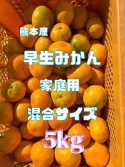 熊本産早生みかん家庭用混合サイズ5kg