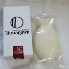 TAMANOHADA イクトゥスソープ　石鹸