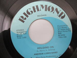 45 ANDREW LEWIS BAND ( RICHMOND ) 