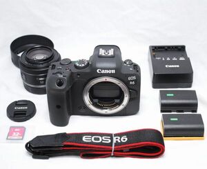 【新品同様の超美品 2000ショット・豪華セット】Canon キヤノン EOS R6 RF 50mm F1.8 STM