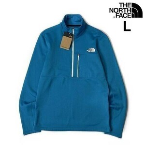 1円～!売切!【正規新品】THE NORTH FACE◆TAGEN 1/4 ZIP FLEECE フリース US限定 裏起毛 ハーフドームロゴ 男女兼用(L)青 水色 180915-25