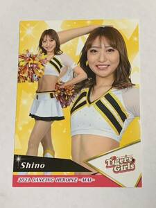 Shino 2023 BBM チアリーダー 舞 レギュラーカード 阪神 TigersGirls 即決