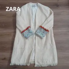 ZARA ネイティブジャケット