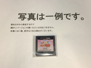 中古C★プルルンッ!シズクチャンアハッ 国語★ニンテンドーDSソフト