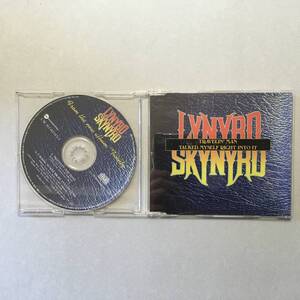 LYNYRD SKYNYRD TRAVELIN