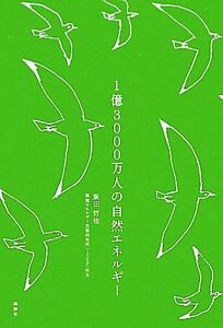 1億3000万人の自然エネルギー/飯田哲也【著】