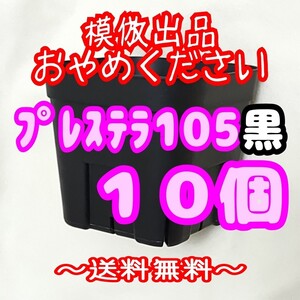 ◆送料無料◆【スリット鉢】プレステラ105黒10個 多肉植物 プラ鉢 3.5号鉢 相当