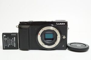 C181606)PanasoniC　DMC LUMIX GX7mk2　ミラーレス一眼