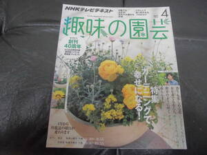 趣味の園芸　2013年4月号　ガーデニングで幸せになる　ジャスミン　ラベンダー　キンギョソウ　バーベナ　ガザニア　ツツジ