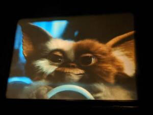 スーパー８ミリ　「Gremlins/グレムリン」(1984年） フィルム 2x600FT Derann ダイジェスト版