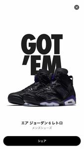 NIKE AIR JORDAN 6 RETRO NRG COW FUR US8.5/26.5cm 2019/2/21発売 SNKRS購入 国内正規 新品未使用 納品書,黒タグ付 ナイキ エアジョーダン