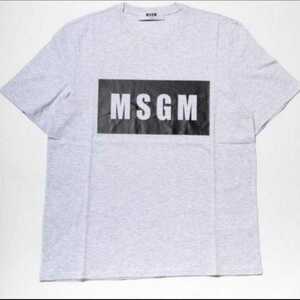 【M】MSGM エムエスジーエム/半袖Tシャツ/パネルロゴプリント/グレー