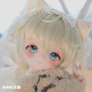 A*おねむ王国*DDH-01 SW肌カスタムヘッド(※レジン盛り小難あり)+おまけ【ウィッグ2種+試作品アイ4種】MDD BJD dollfiedream ドール