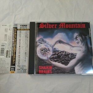 90年盤★銀色帯★シルヴァー・マウンテン★シェイキン・ブレインズ★SILVER MOUNTAIN★SHAKIN