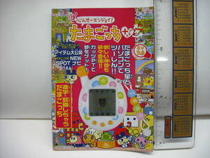 最終品　未使用保管品　じんせーエンジョイたまごっちプラス　10ページ小冊子　1枚　※小冊子です、本体は付属しません