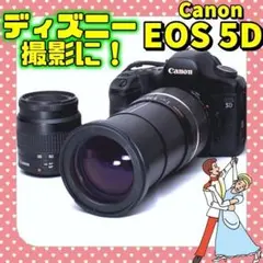 ディズニーの推し撮影に❤ Canon EOS 5D ❤️ダブルレンズ❤️簡単操作