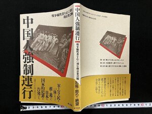 ｇΨ　中国人強制連行　編・戦争犠牲者を心に刻む南京集会　1995年初版　東方出版　/ｆ-M04