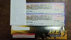 7月31日水曜日甲子園球場　阪神対巨人レフト外野指定席　大人2枚子供2枚通路側含む4連席