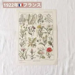 【フランス★1922年】希少！アンティーク ポスター ラルース百科事典