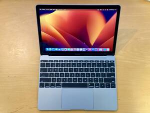 【美品｜充放電62回】Apple MacBook 12インチ CTO/Mid2017/USキー/16GB/SSD256GB/Core m3 1.2GHz/A1534