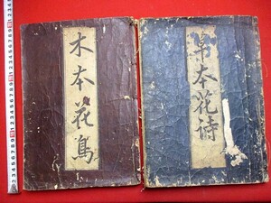 b674◆ 大本　絵本2冊　草木花詩譜　大本花鳥　花鳥画　虫損多　漢詩　和本 古書 古文書