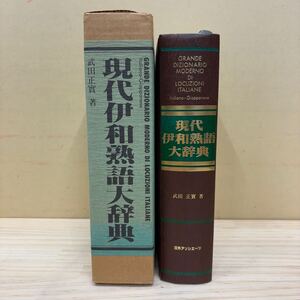 初版 現代伊和熟語辞典 武田正貫 チェザーレ・フロルディ 日外アソシエーツ/古本/経年による汚れヤケシミ傷み/状態は画像で確認を/NCで