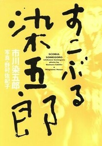 すこぶる染五郎/市川染五郎(著者),野村佐紀子