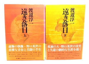 遠き落日 上・下巻/渡辺淳一(著)/角川書店