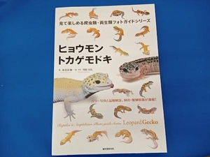 ヒョウモントカゲモドキ 海老沼剛