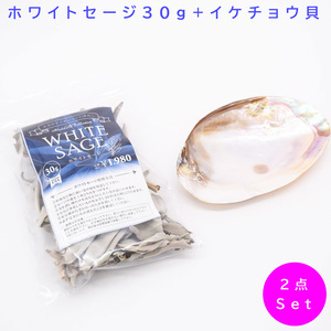 【お買得セット】ホワイトセージ30g　イケチョウ貝　浄化セット　ヒーリング