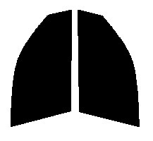 ハーフスモーク　76％ 運転席、助手席　ストーリア M100S・M101S カット済みフィルム
