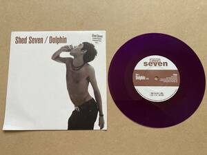 カラー盤 SHED SEVEN / DOLPHIN - IMMOBILISE YORK2 855 930-7