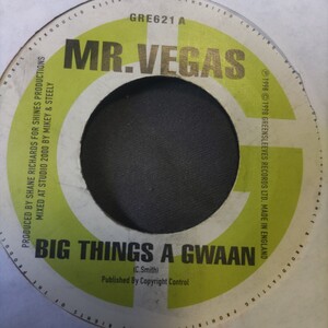 Mr Vegas / Big Things A Gwaan Zebra/Picture Fi Frame 90s Dancehall Big Tune 