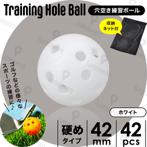 ゴルフ ボール 用品 トレーニング 穴あき 飛ばない セット グッズ 練習 器具 安い ギフト クラブ プレゼント 景品 人気 素振り g281f3 2