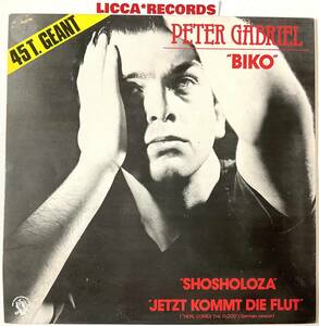 MEGA RARE Peter Gabriel - Biko LONG VERSION FRANCE 1980 ORIGINAL (Here Comes The Flood/German Version) Charisma 12“ レコード 627