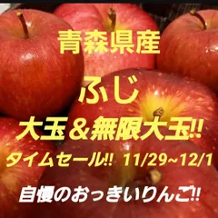 ★期間限定★青森県産 ふじ りんご 大＆無限大玉 家庭用 6~8玉