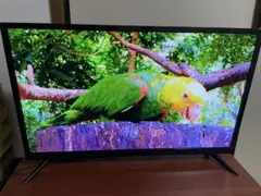 ティーズネットワーク LE-3232TS 液晶テレビ　2021年